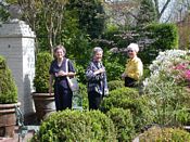 click refresh if no pic