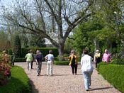 click refresh if no pic