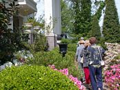 click refresh if no pic