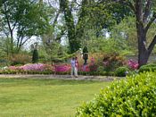 click refresh if no pic