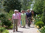 click refresh if no pic