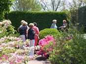 click refresh if no pic