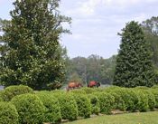 click refresh if no pic