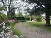 click refresh if no pic