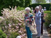 click refresh if no pic