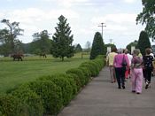 click refresh if no pic