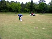 click refresh if no pic