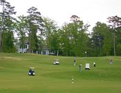 click refresh if no pic