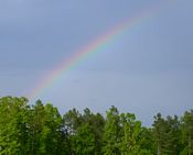 click refresh if no pic