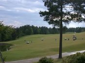 click refresh if no pic