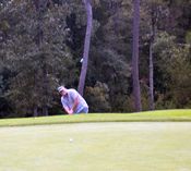 click refresh if no pic