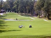 click refresh if no pic