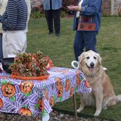 click refresh if no pic