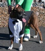 click refresh if no pic