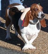 click refresh if no pic