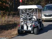 click refresh if no pic