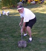 click refresh if no pic