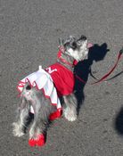 click refresh if no pic