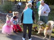 click refresh if no pic