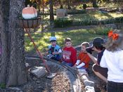 click refresh if no pic