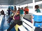 click refresh if no pic