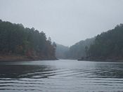 click refresh if no pic