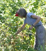 click refresh if no pic