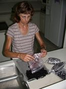 click refresh if no pic