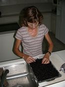 click refresh if no pic