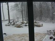 click refresh if no pic