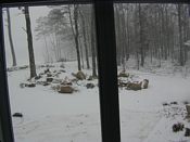 click refresh if no pic