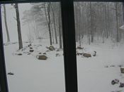 click refresh if no pic