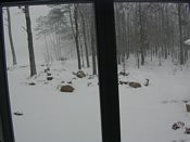 click refresh if no pic