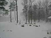 click refresh if no pic