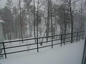 click refresh if no pic