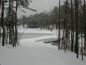 click refresh if no pic