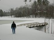 click refresh if no pic