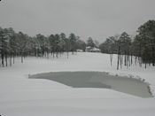 click refresh if no pic