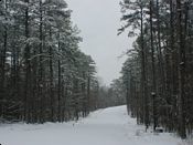 click refresh if no pic