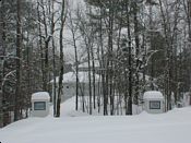 click refresh if no pic