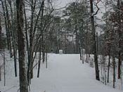 click refresh if no pic