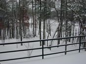 click refresh if no pic