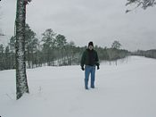 click refresh if no pic