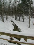 click refresh if no pic