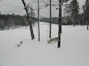 click refresh if no pic