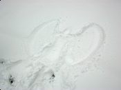 click refresh if no pic