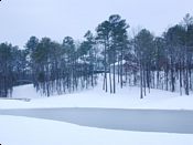 click refresh if no pic