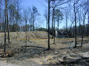 click refresh if no pic