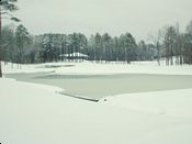 click refresh if no pic