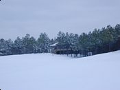 click refresh if no pic